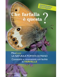 Farfalle - MiniGuida