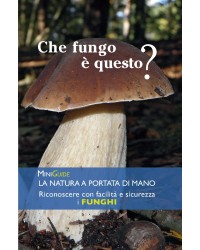 Funghi - MiniGuida