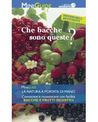 Bacche e Frutti selvatici -...