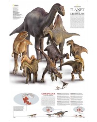 Dinosauri nel continente...