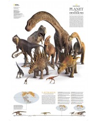 Dinosauri nel continente...