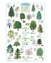 Alberi di Montagna - Poster