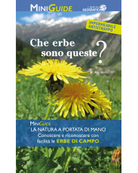 Che Erbe sono queste? 
COPERTINA