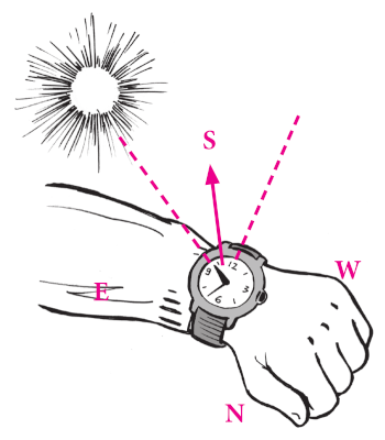 Orientarsi col sole emisfero nord