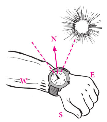 Orientarsi col sole emisfero sud